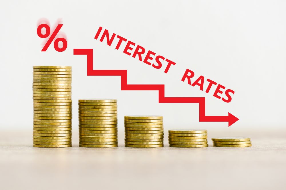 Government Initiatives to Address Insolvency and its Impact on The Economy