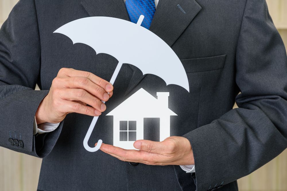 Rights and Protections for Creditors in Insolvency Cases