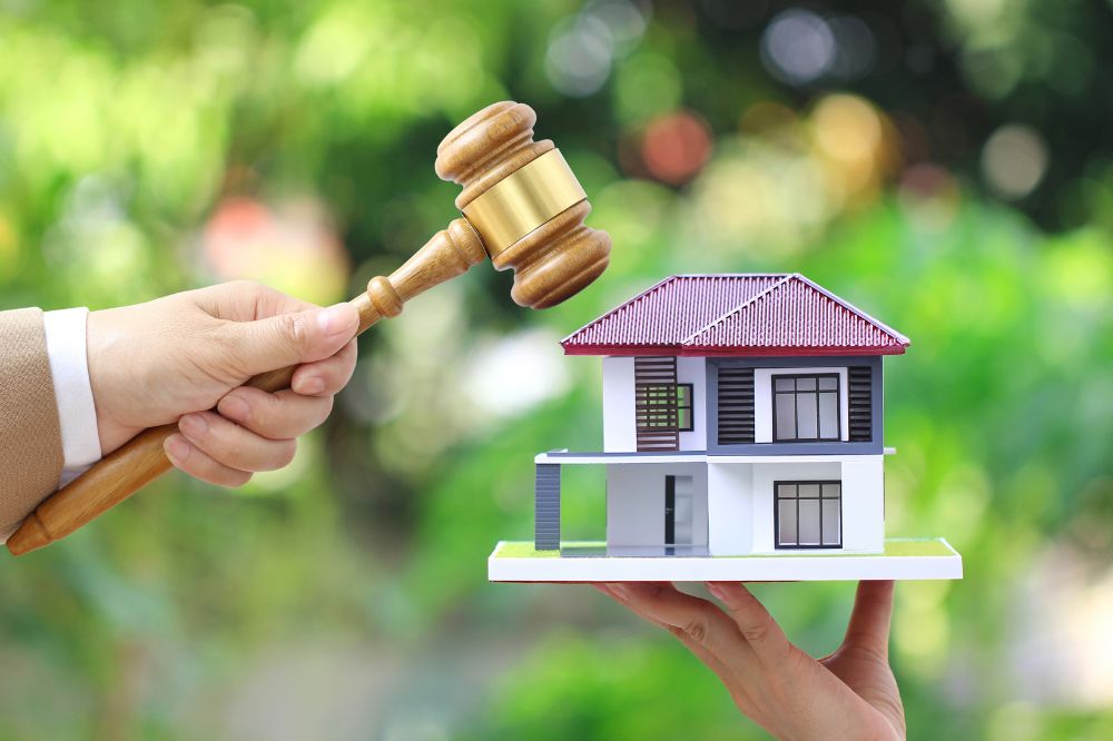 Role of Government in Insolvency Proceedings