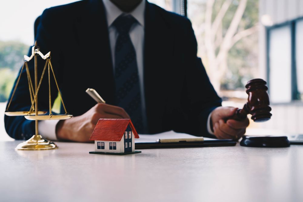 Role of Government in Insolvency Proceedings