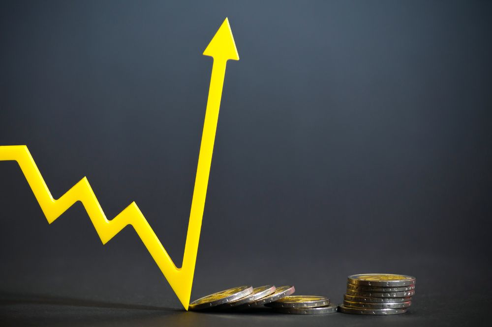 Role of Insolvency in Economic Cycles